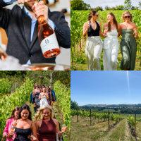 Wiltshire Campaign Competition